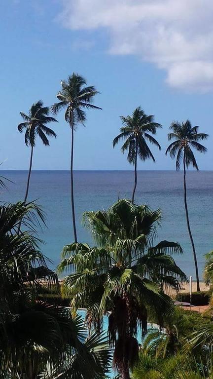 Las Palmas Inn Rincon Ngoại thất bức ảnh